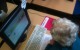 Jean gets to grips with the Internet as she researches Stratford-upon-Avon ready for her trip